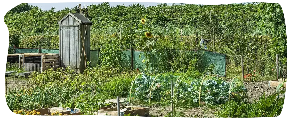 Foto van het complex (5075)