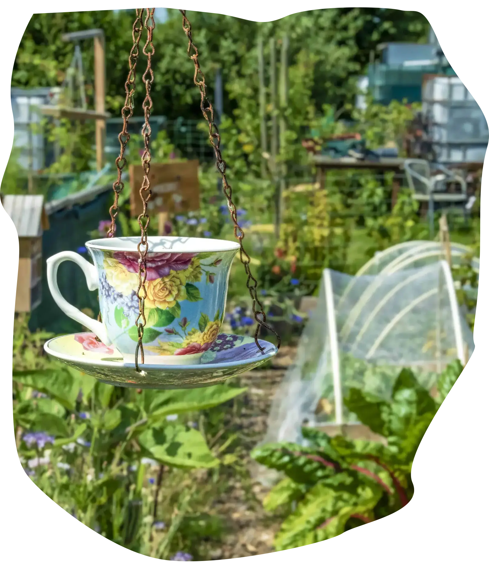 Theekopje als vogelvoeder in de tuin