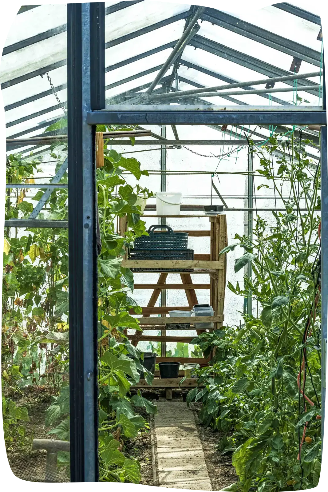 Foto van het complex (5204)