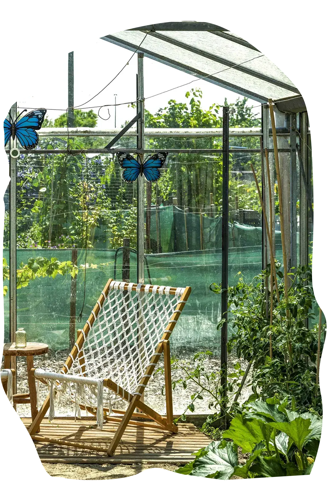 Foto van het complex (5222)