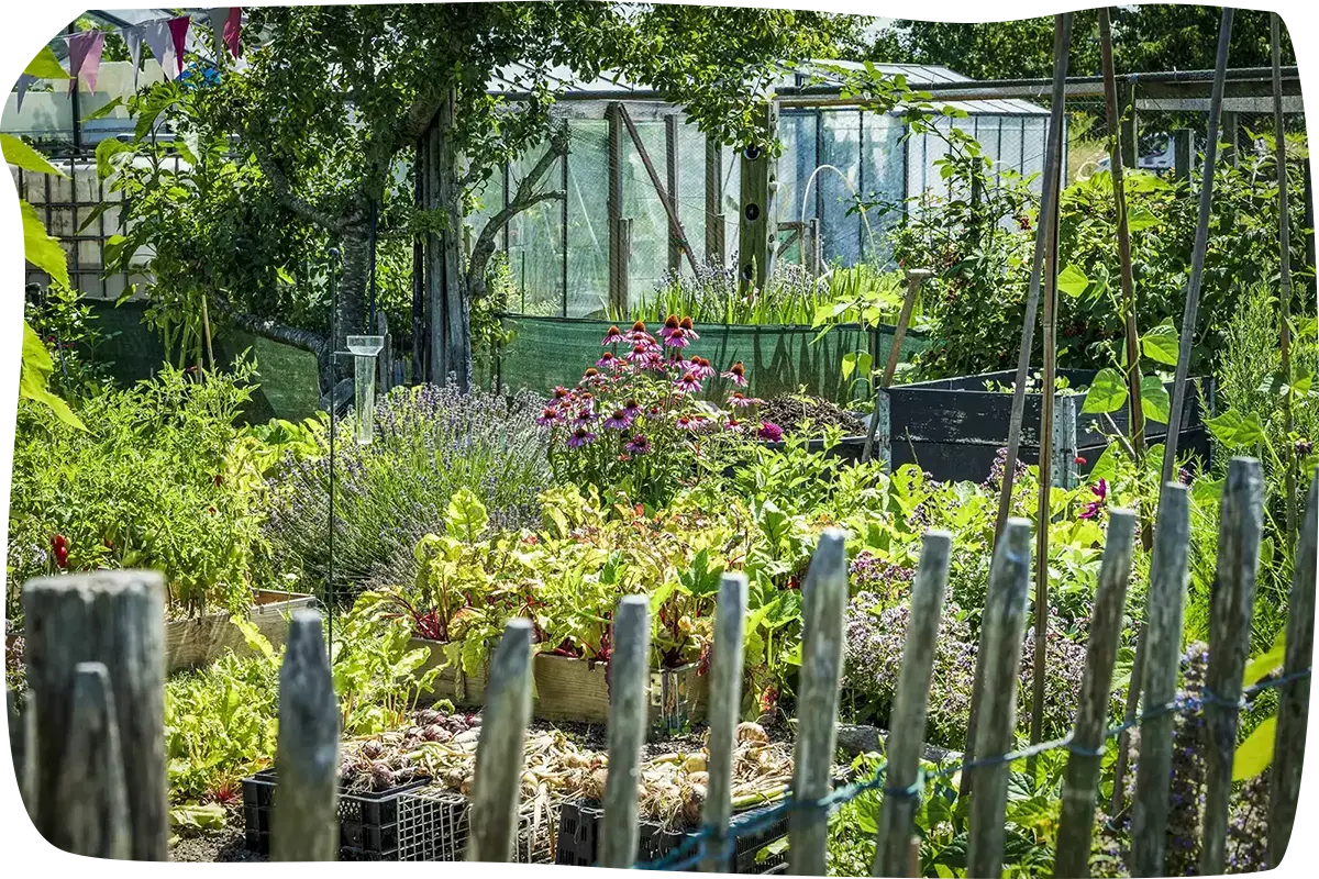 Compostbak in de moestuin
