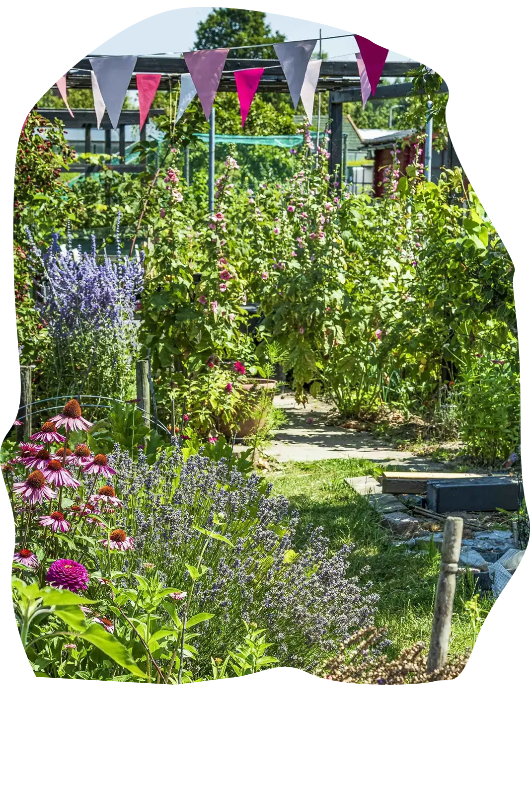 Pad tussen de tuinen met bloemen